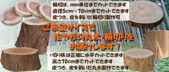 桧輪切り 杉輪切り 丸太 切り株 販売価格表